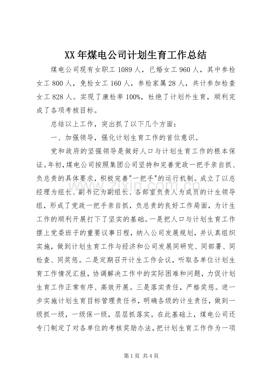 XX年煤电公司计划生育工作总结(2).docx_第1页