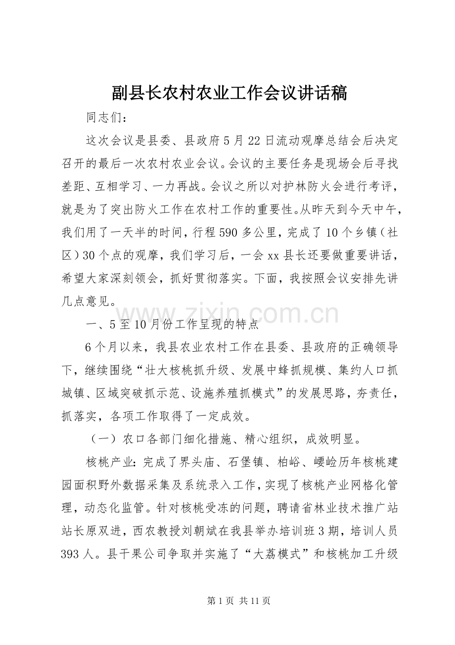 副县长农村农业工作会议的讲话发言稿.docx_第1页