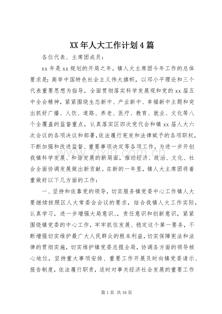 XX年人大工作计划4篇.docx_第1页
