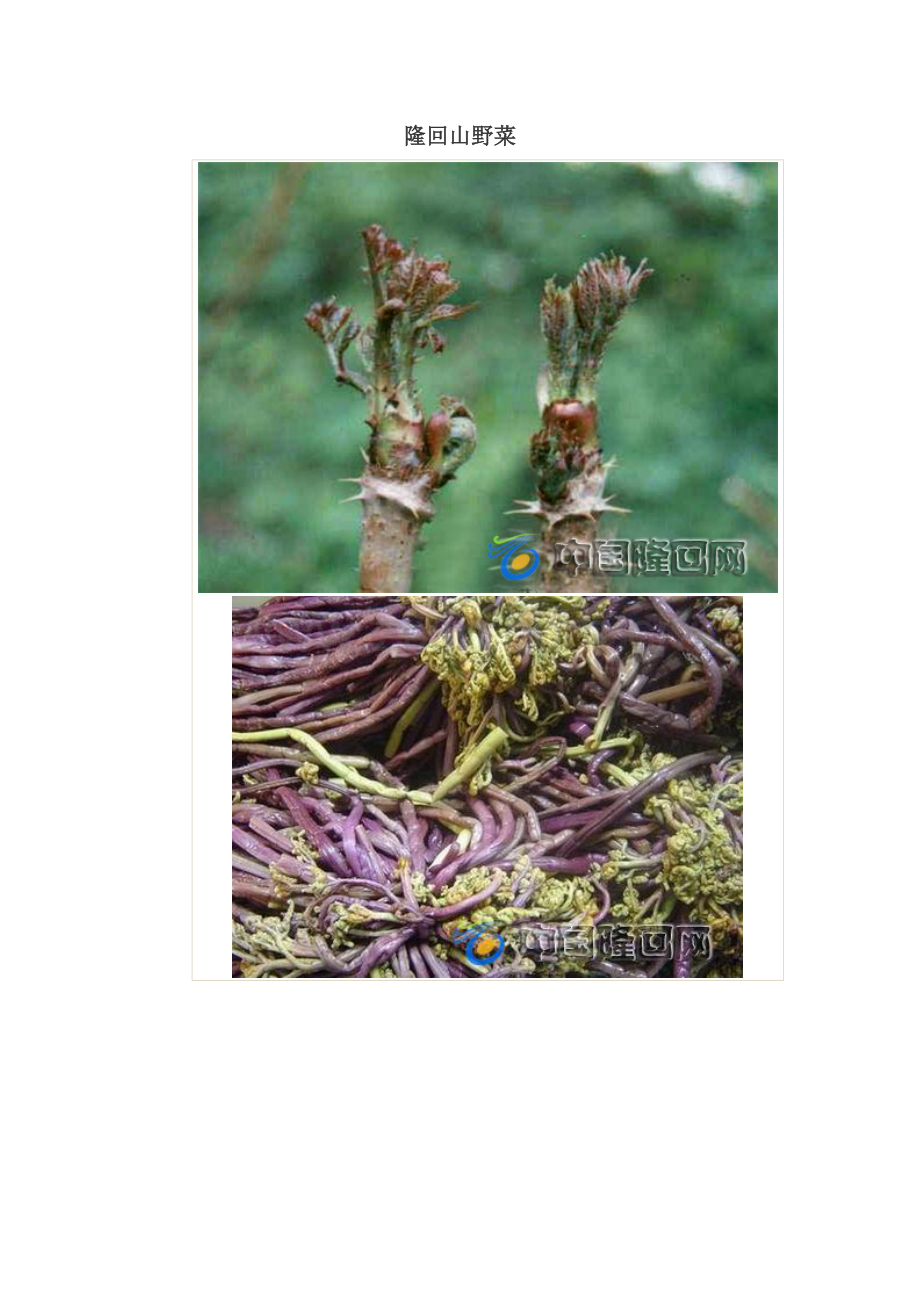 隆回山野菜.doc_第1页