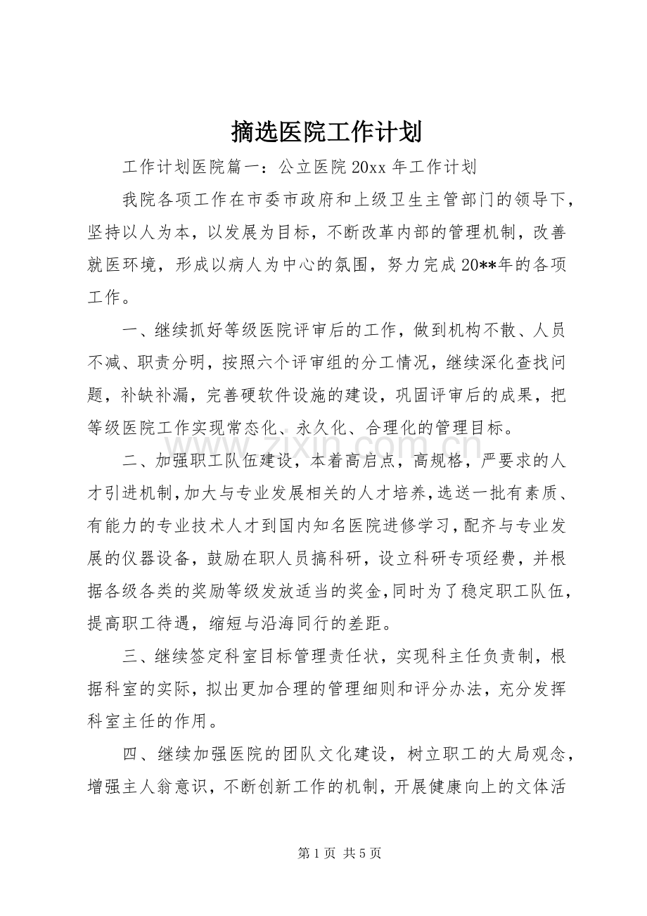 摘选医院工作计划.docx_第1页