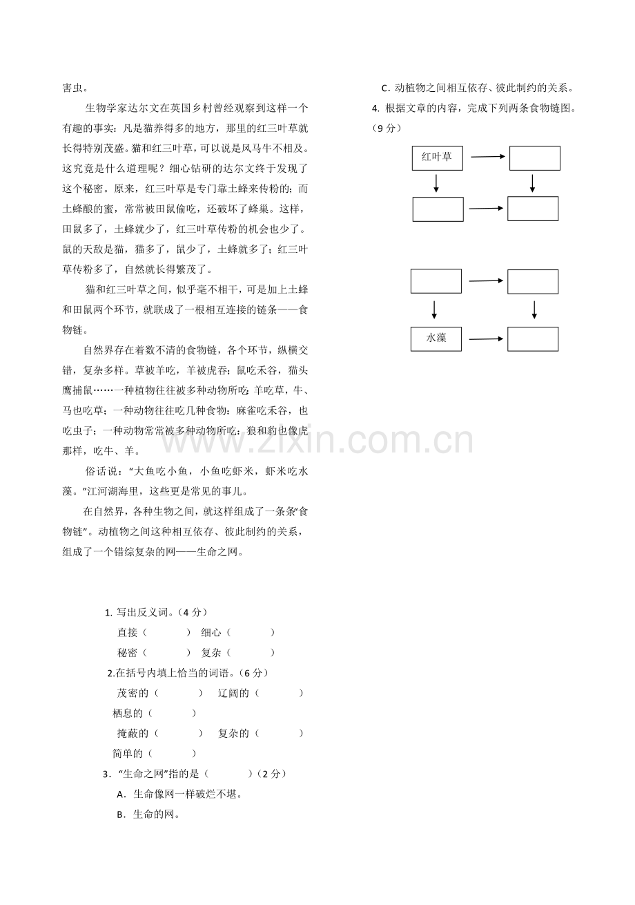 小语第八册第三单元测试题.doc_第2页