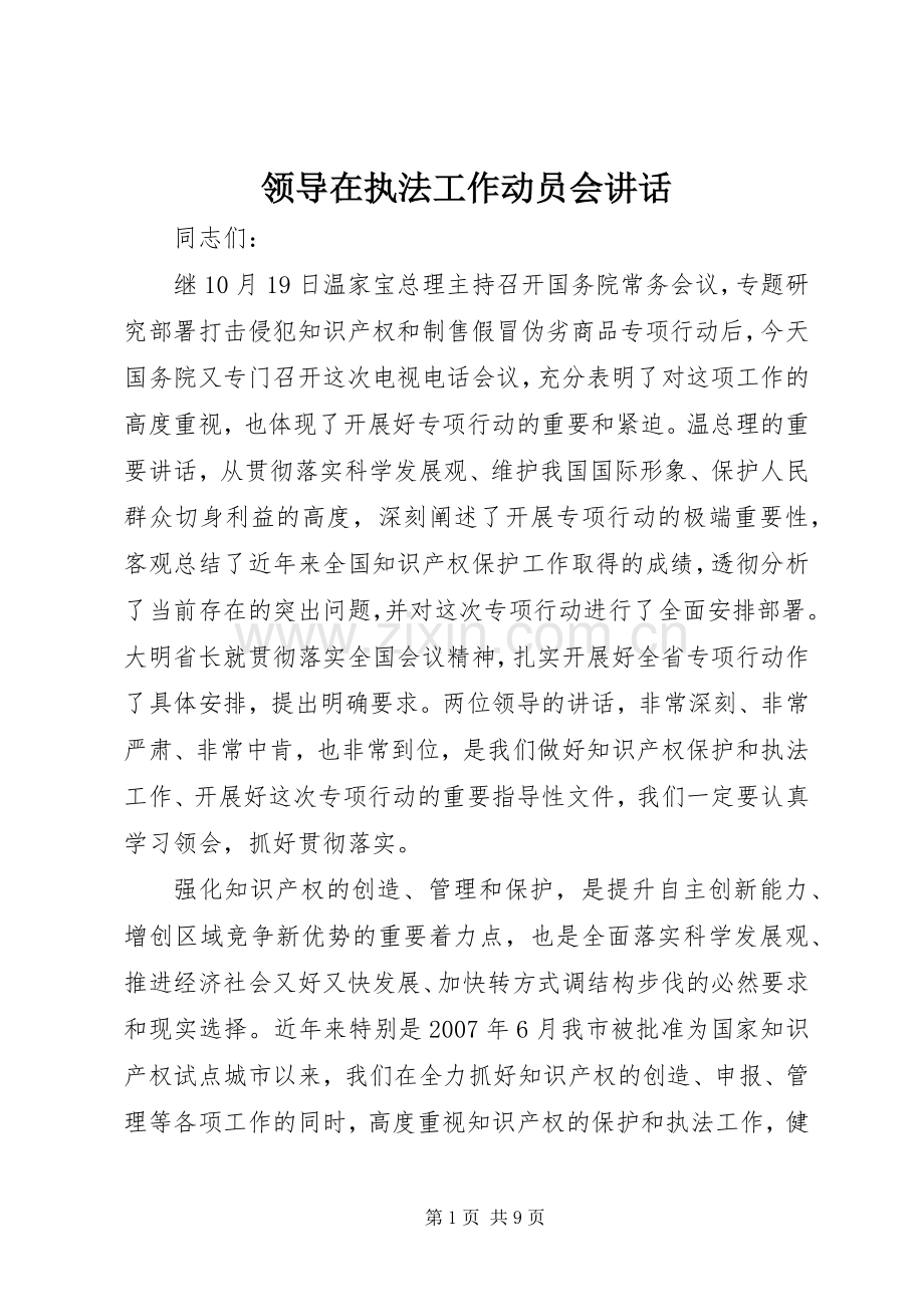 领导在执法工作动员会讲话发言.docx_第1页
