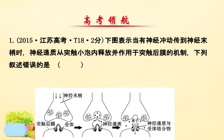 高考真题：_第2章动物和人体生命活动的调节.ppt_第2页