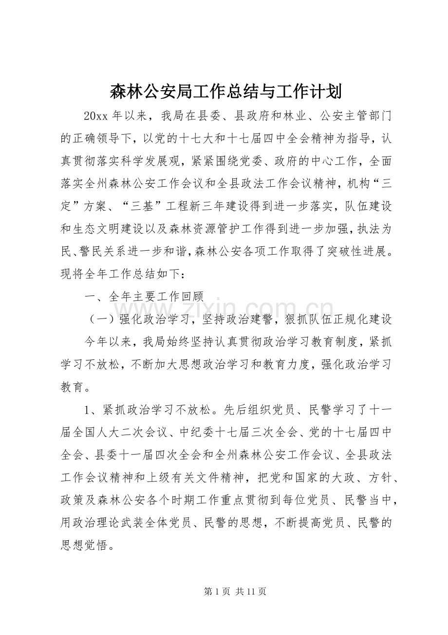 森林公安局工作总结与工作计划.docx_第1页
