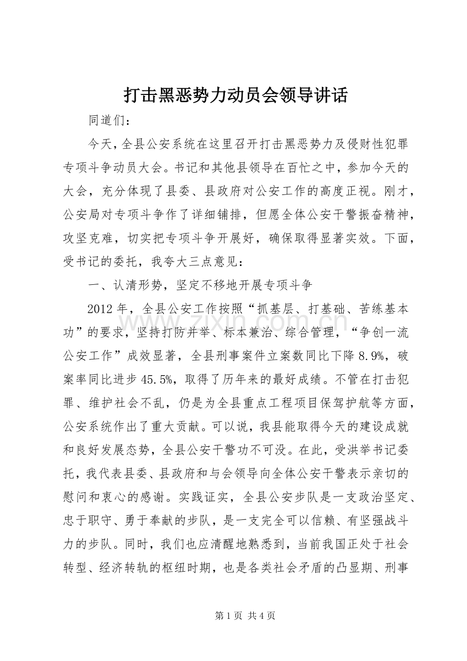 打击黑恶势力动员会领导讲话发言.docx_第1页