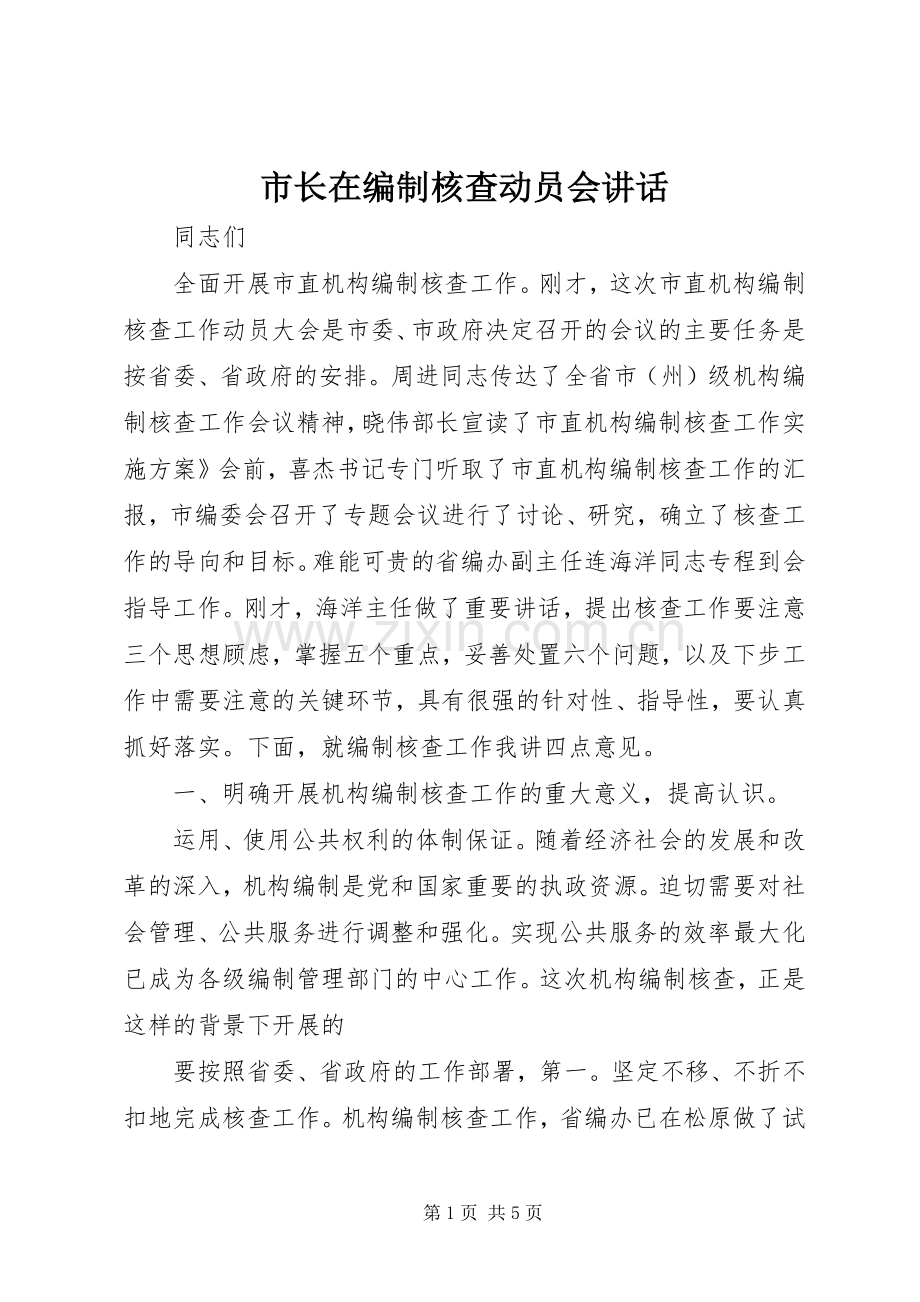 市长在编制核查动员会讲话发言.docx_第1页