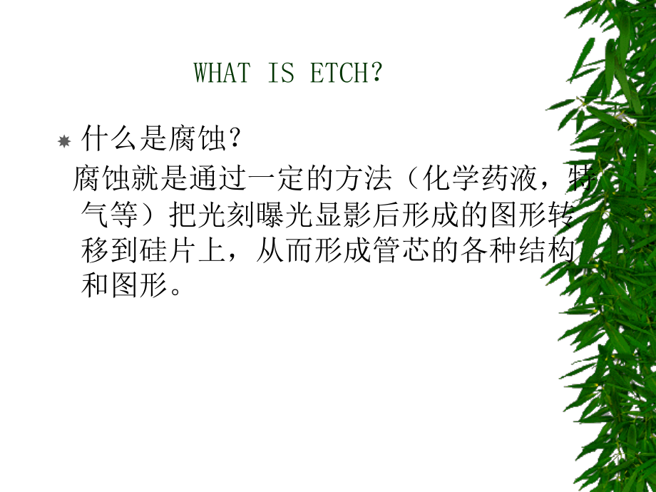 POLYSIN 腐蚀工艺培训update.ppt_第2页