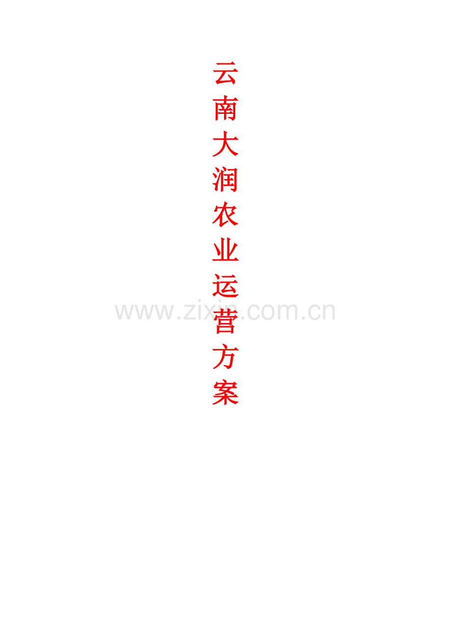 云南大润阿里巴巴操作运营方案.doc_第1页