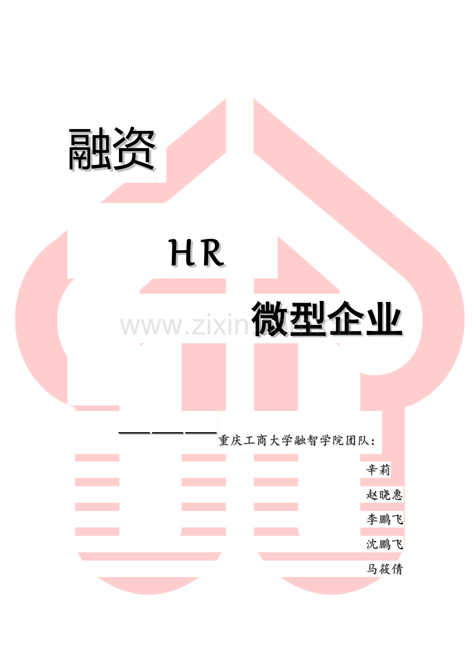 融资HR微型企业.docx_第1页