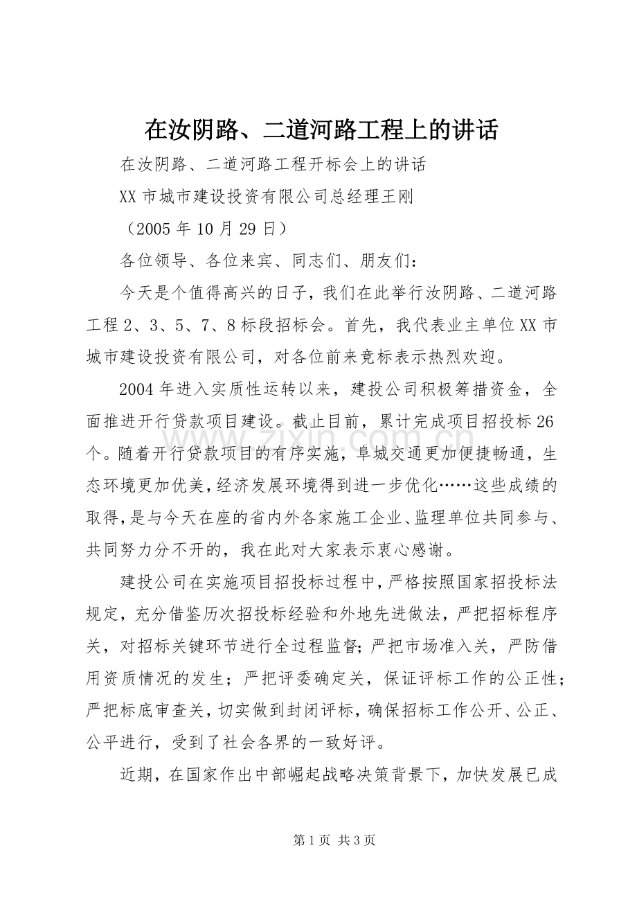 在汝阴路、二道河路工程上的讲话发言.docx_第1页