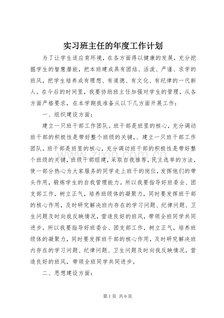 实习班主任的年度工作计划.docx_第1页