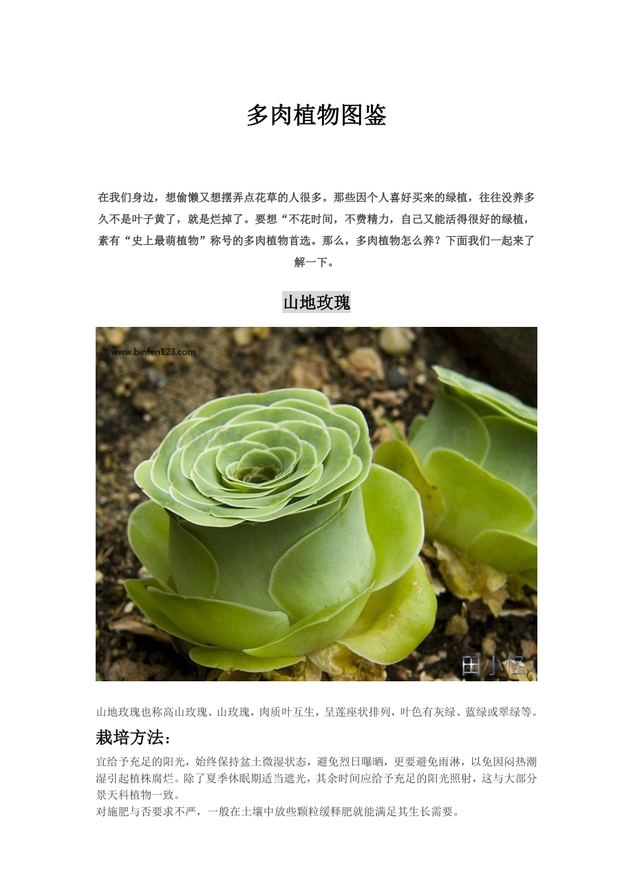 多肉植物图鉴.docx_第1页