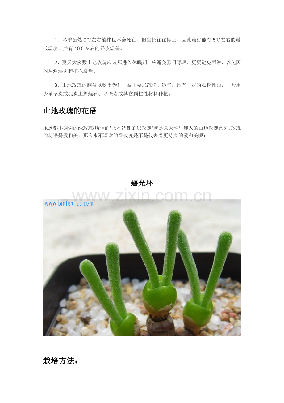多肉植物图鉴.docx_第2页