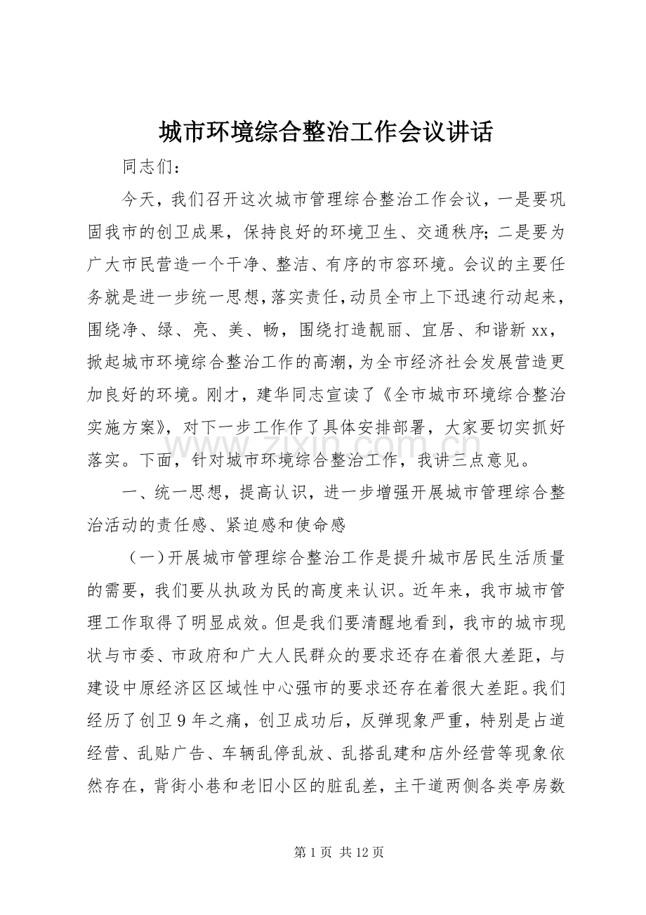 城市环境综合整治工作会议讲话发言.docx_第1页