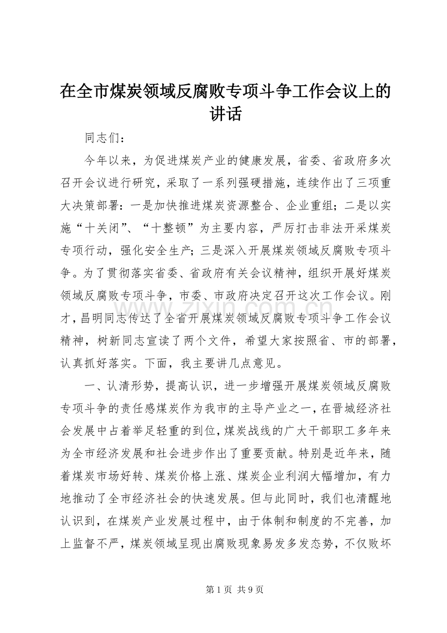 在全市煤炭领域反腐败专项斗争工作会议上的讲话发言.docx_第1页