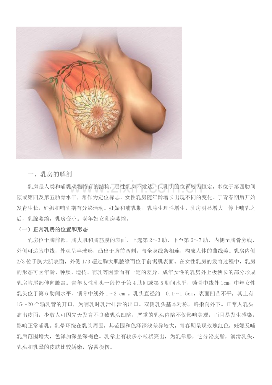 乳腺癌是女性常见的恶性肿瘤之一.doc_第1页