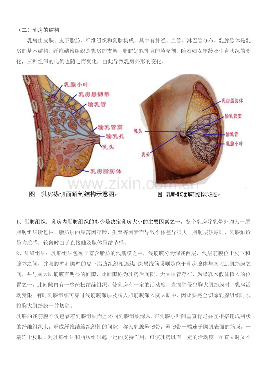 乳腺癌是女性常见的恶性肿瘤之一.doc_第2页
