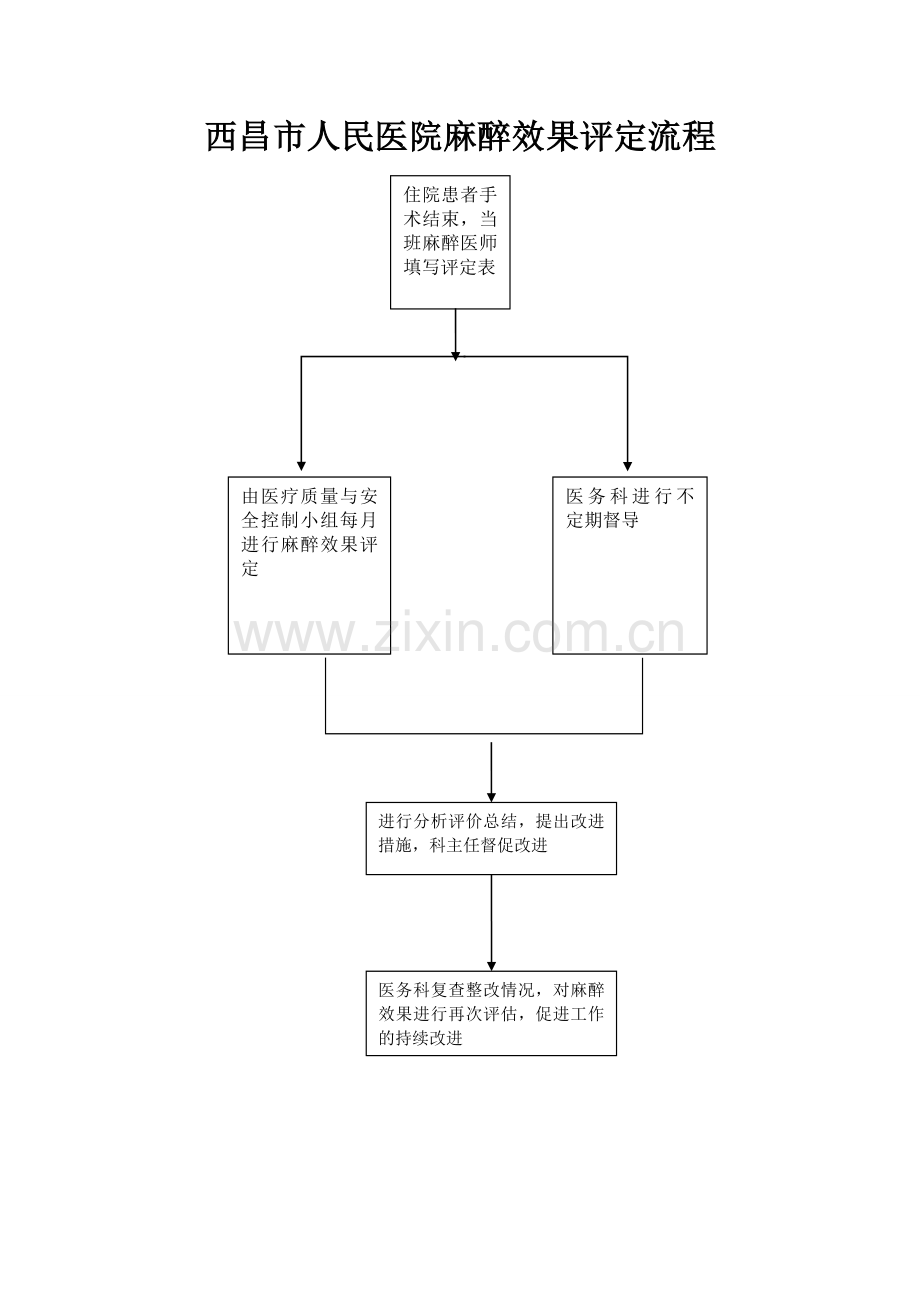 麻醉效果评定表、流程、定期评价.doc_第2页