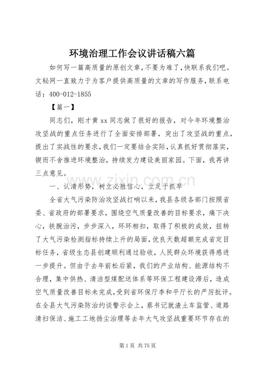 环境治理工作会议讲话发言稿六篇.docx_第1页
