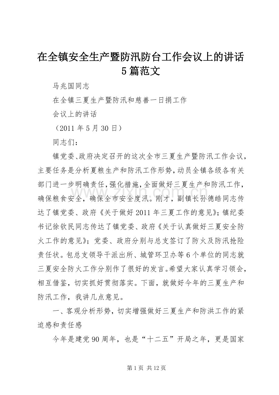 在全镇安全生产暨防汛防台工作会议上的讲话发言5篇范文.docx_第1页