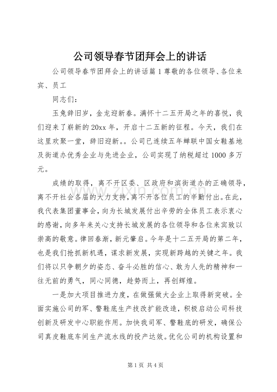 公司领导春节团拜会上的讲话发言.docx_第1页