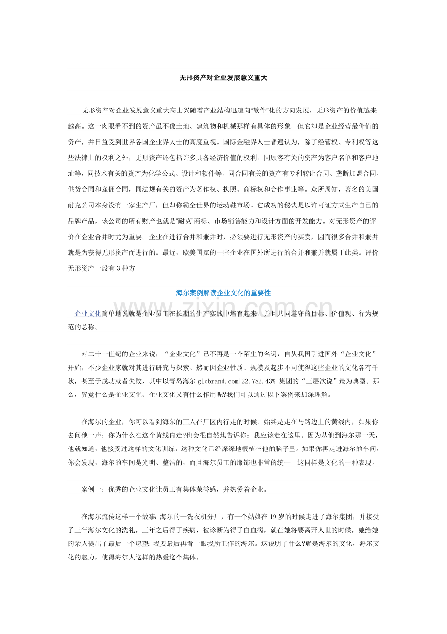 无形资产对企业发展意义重大.doc_第1页