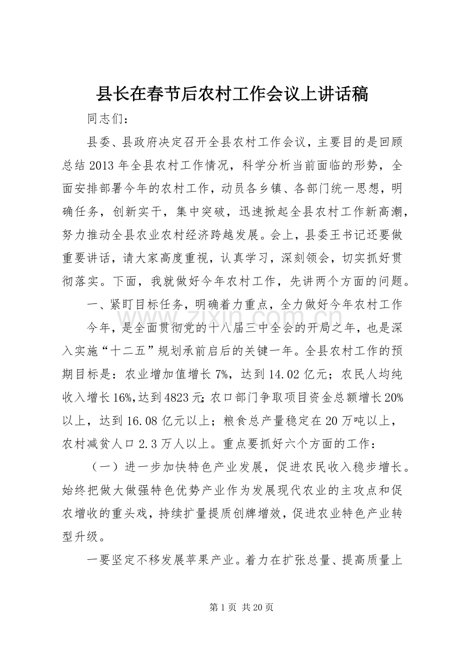 县长在春节后农村工作会议上讲话发言稿.docx_第1页