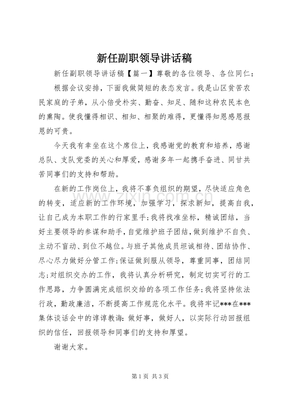 新任副职领导讲话发言稿.docx_第1页