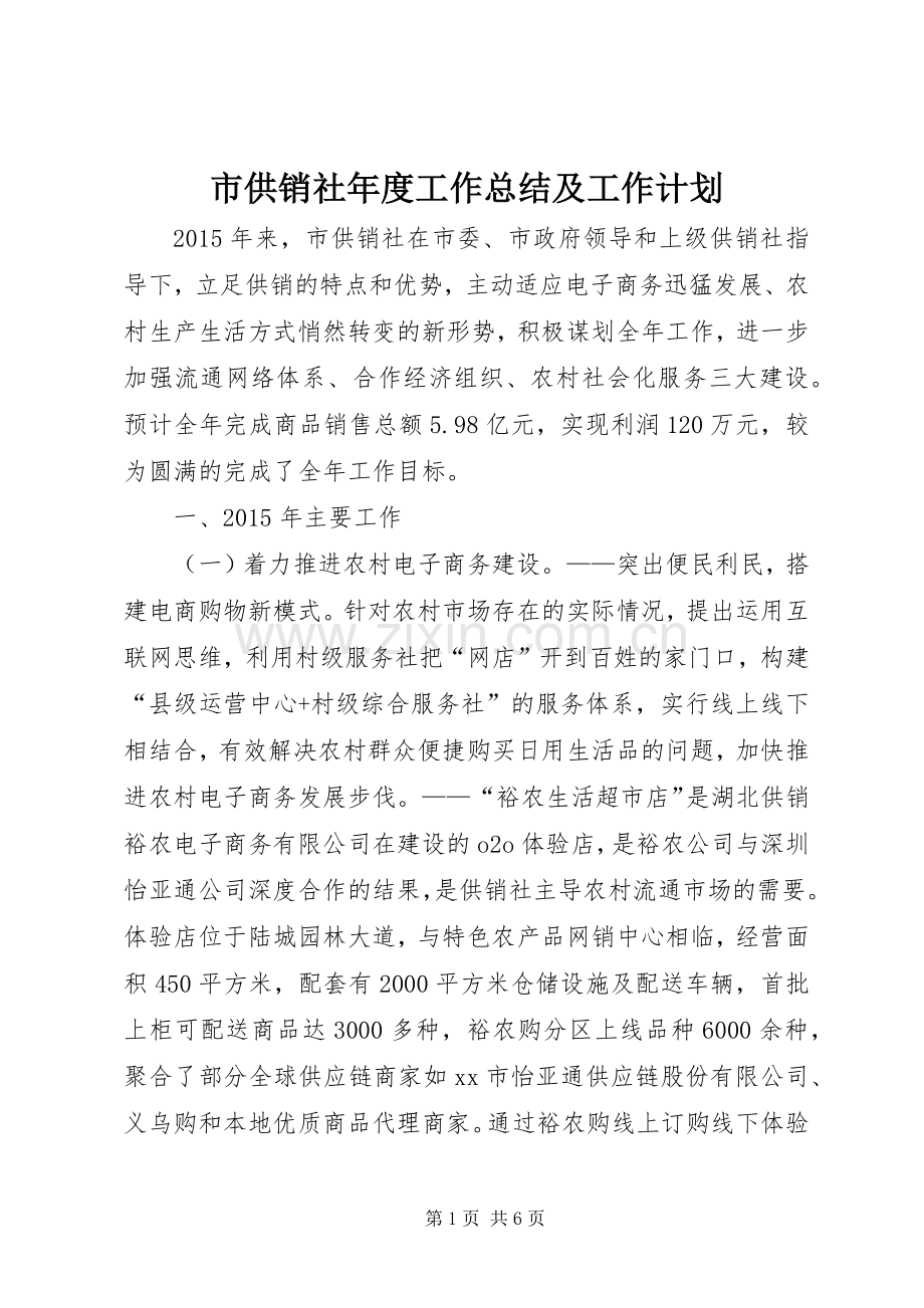 市供销社年度工作总结及工作计划.docx_第1页