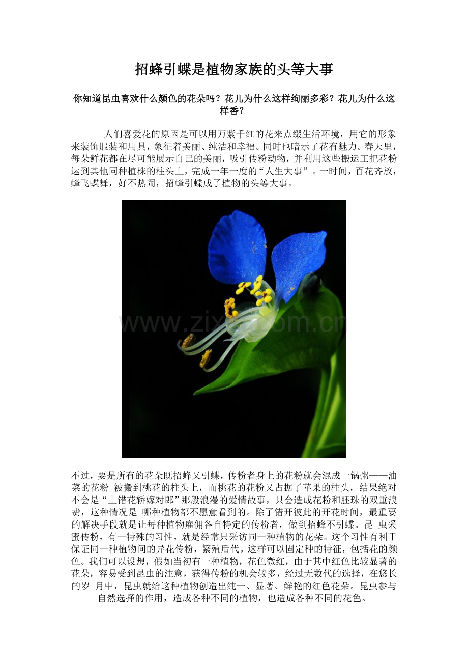 招蜂引蝶是植物家族的头等大事.doc_第1页