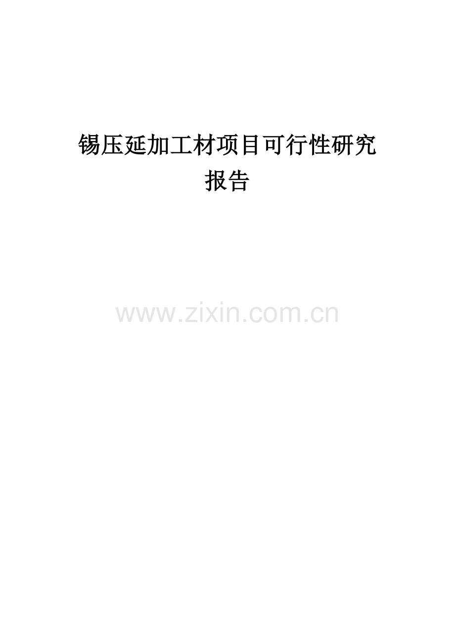 锡压延加工材项目可行性研究报告.docx_第1页