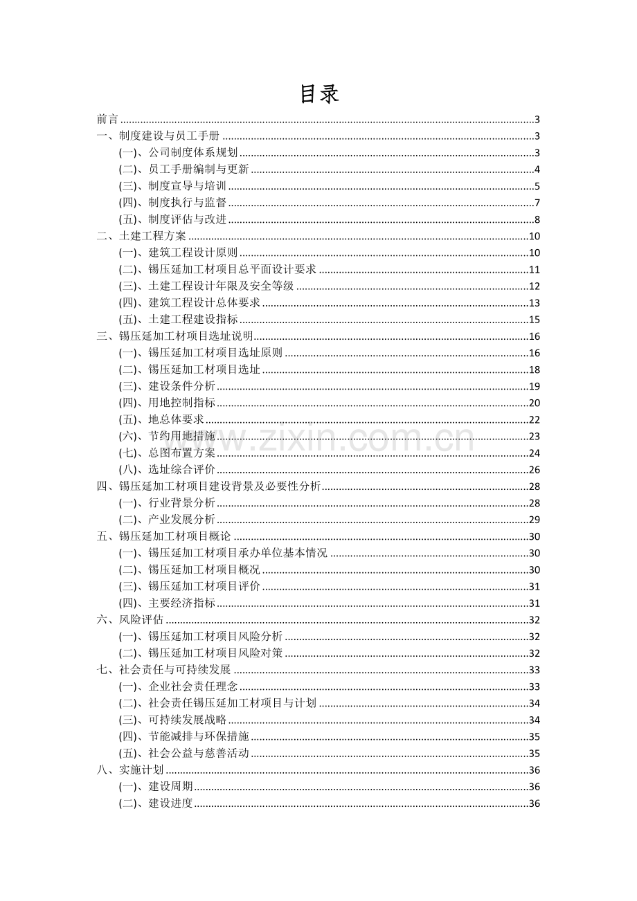 锡压延加工材项目可行性研究报告.docx_第2页