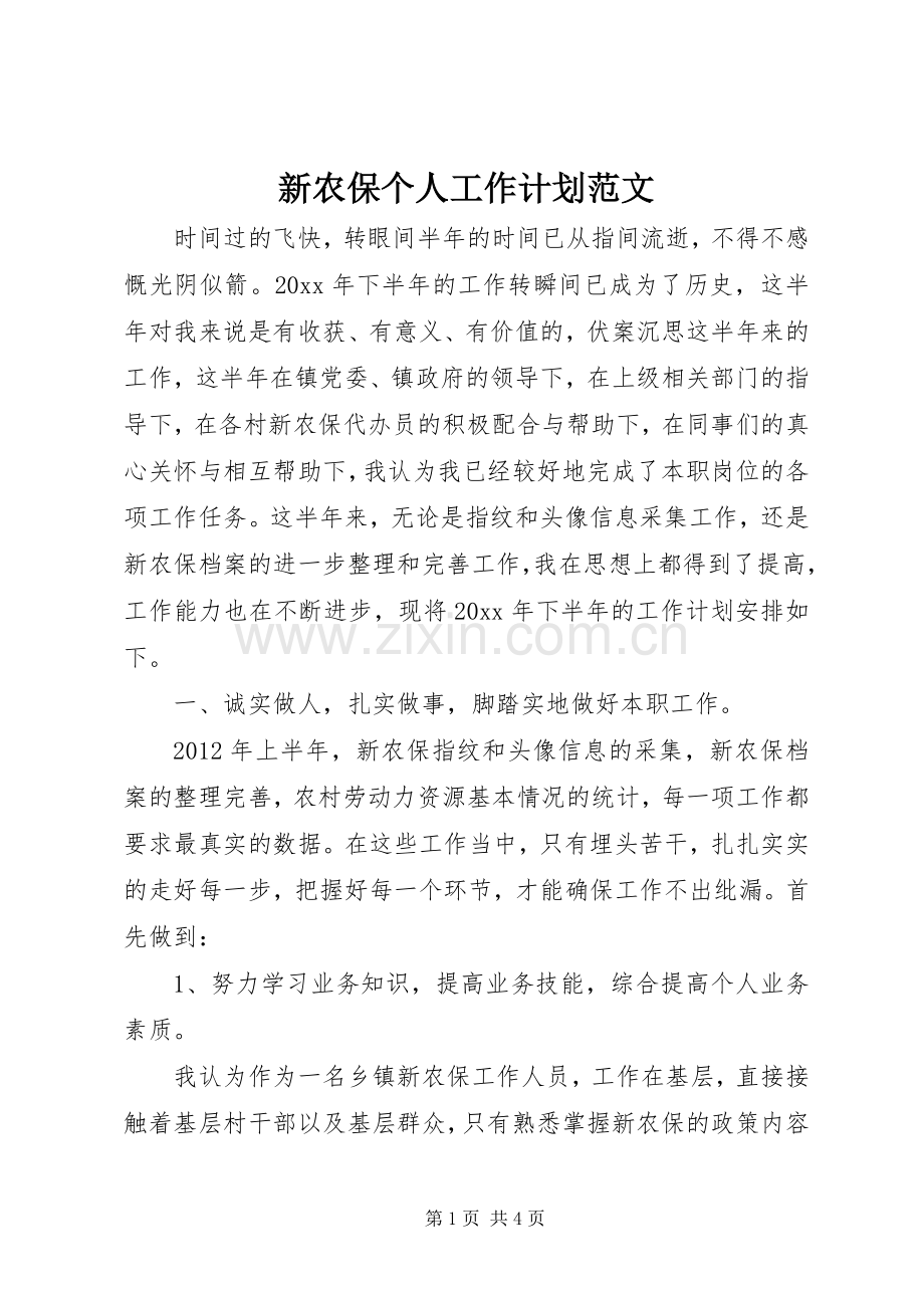 新农保个人工作计划范文.docx_第1页
