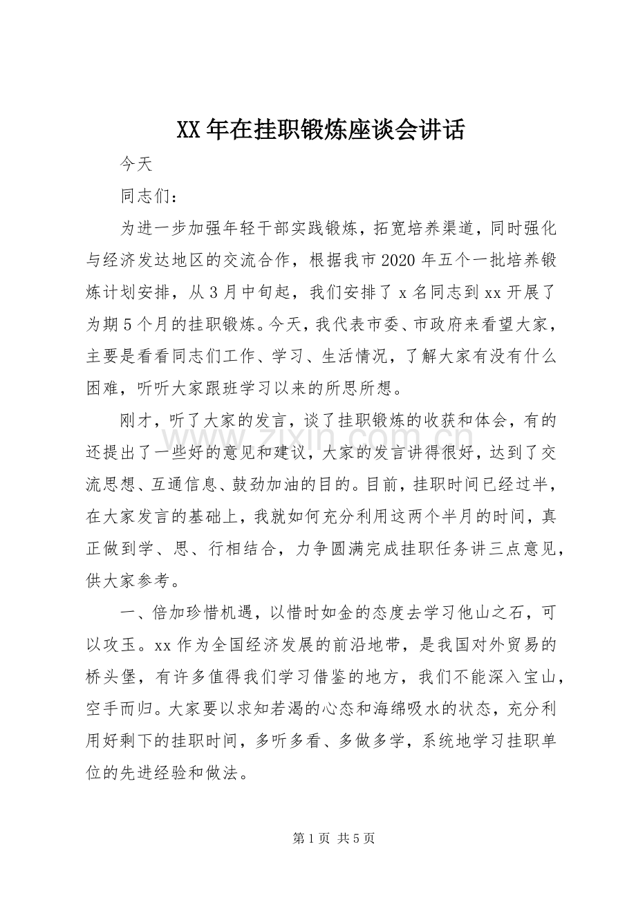 XX年在挂职锻炼座谈会讲话发言.docx_第1页