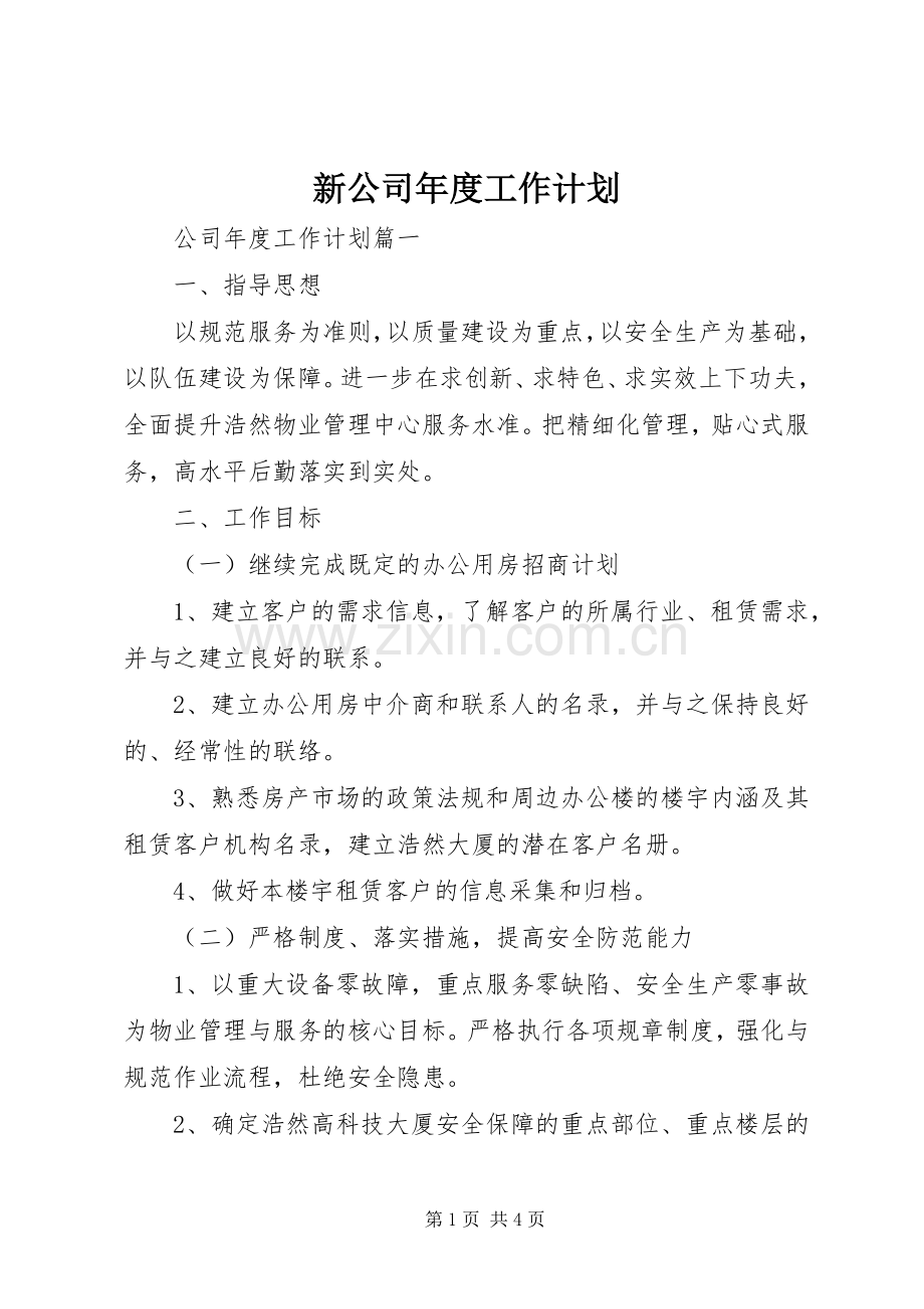 新公司年度工作计划.docx_第1页