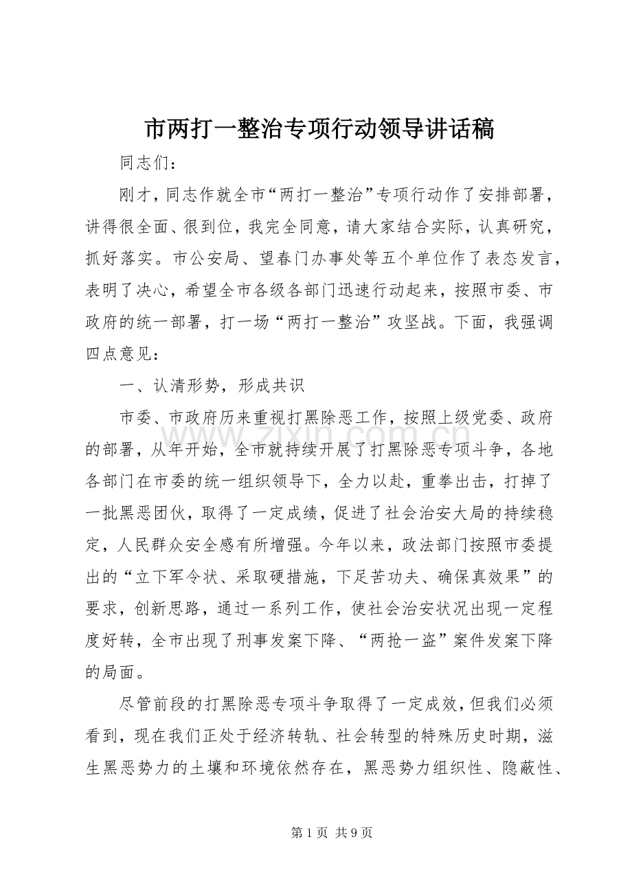 市两打一整治专项行动领导讲话发言稿.docx_第1页