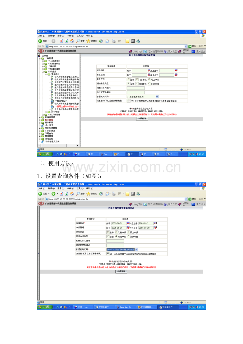 个人所得税申报明细情况查询.docx_第2页