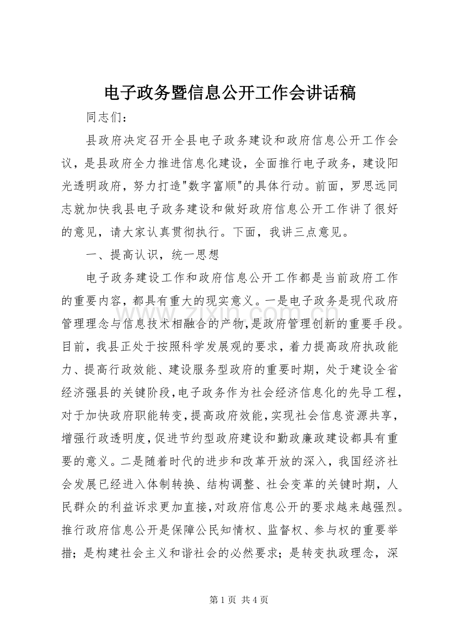 电子政务暨信息公开工作会讲话发言稿.docx_第1页