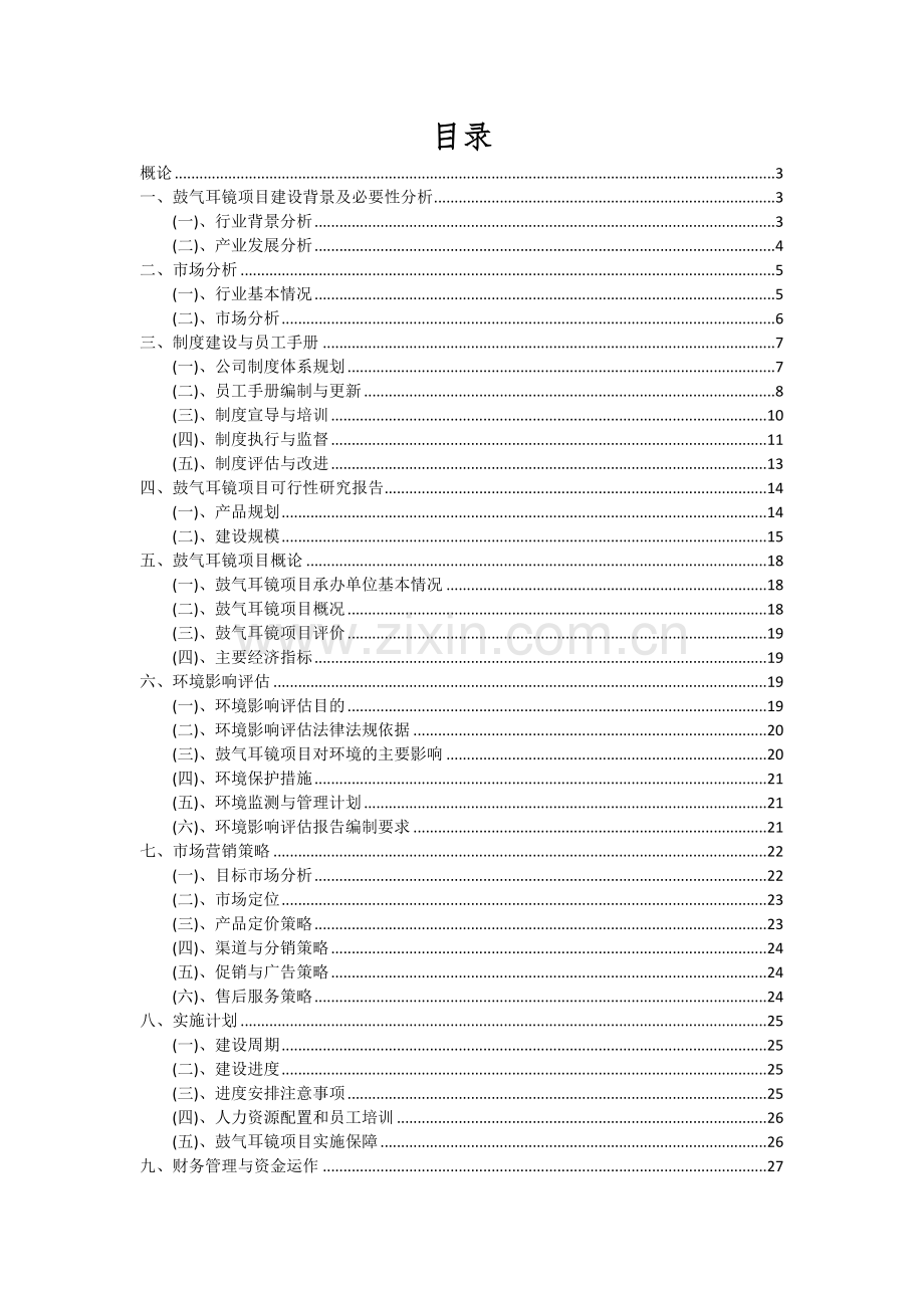 鼓气耳镜项目投资分析及可行性报告.docx_第2页