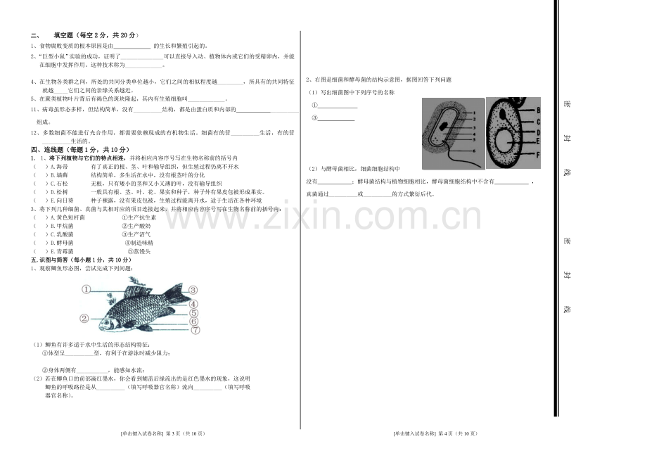 八年级下册生物考试试卷.doc_第2页