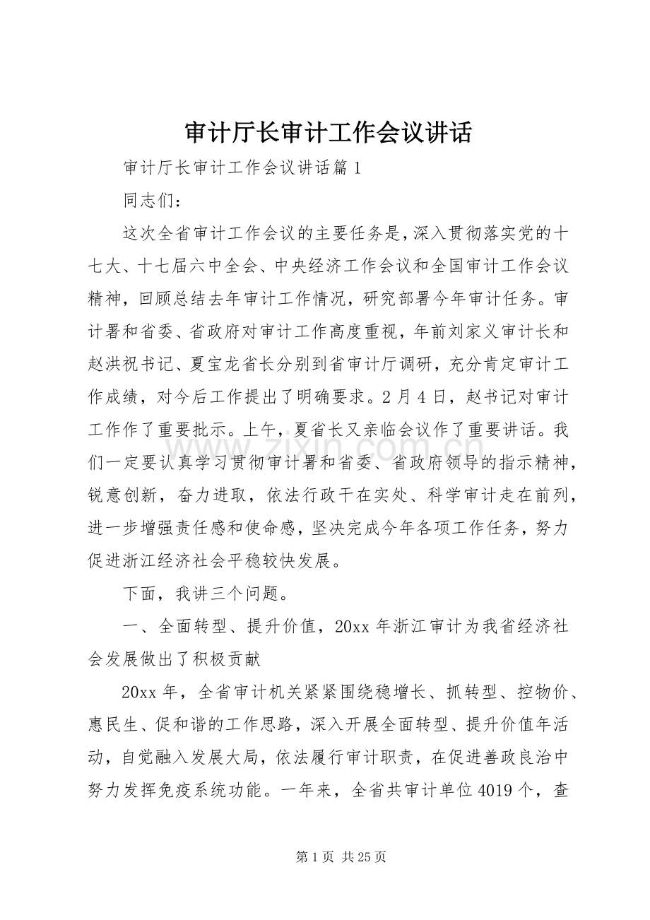 审计厅长审计工作会议讲话发言.docx_第1页
