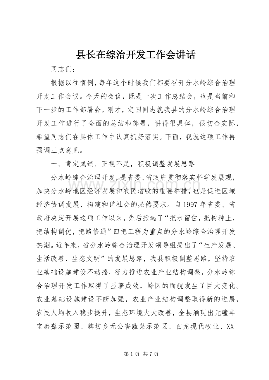 县长在综治开发工作会讲话发言.docx_第1页