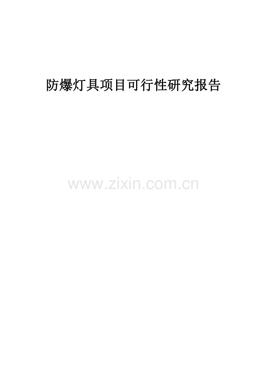 防爆灯具项目可行性研究报告.docx_第1页