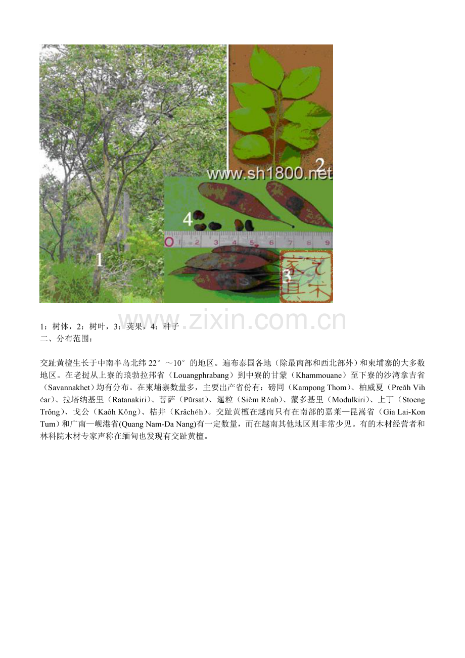“交趾黄檀”与“大红酸枝”.doc_第2页