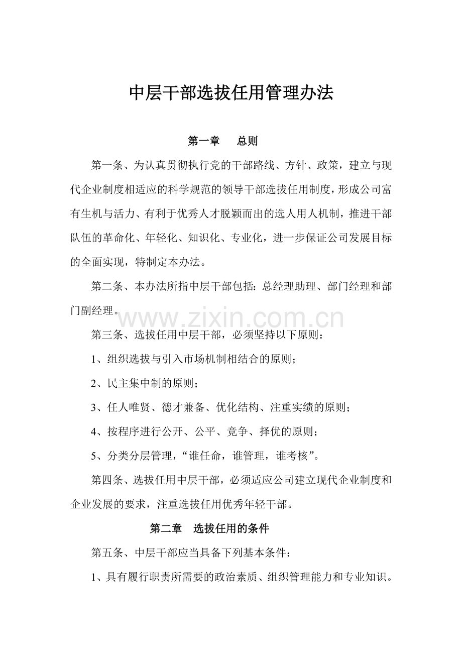 中层干部选拔任用管理办法.doc_第1页