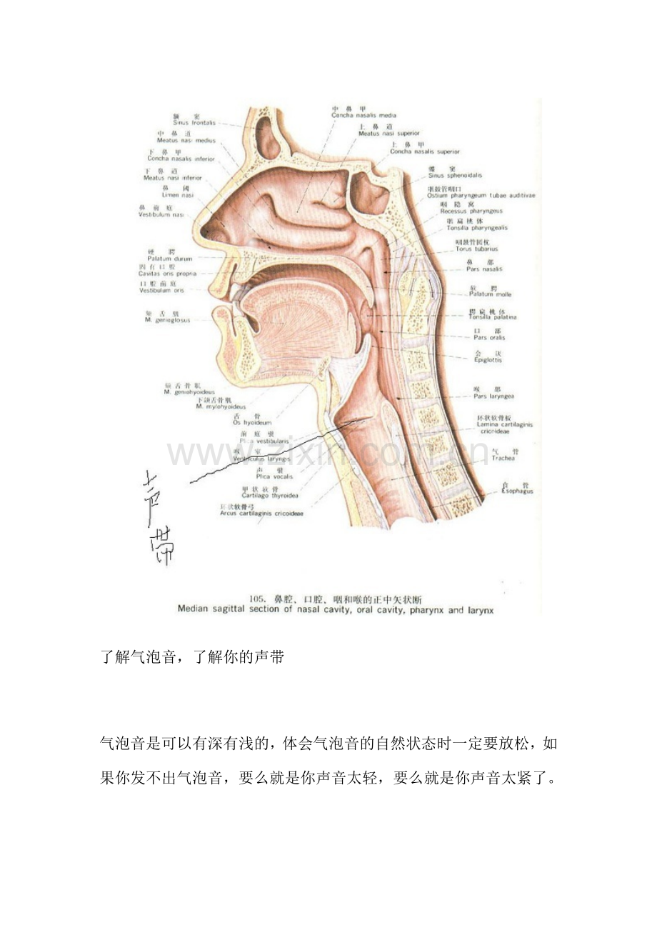 什么是气泡音？.docx_第2页