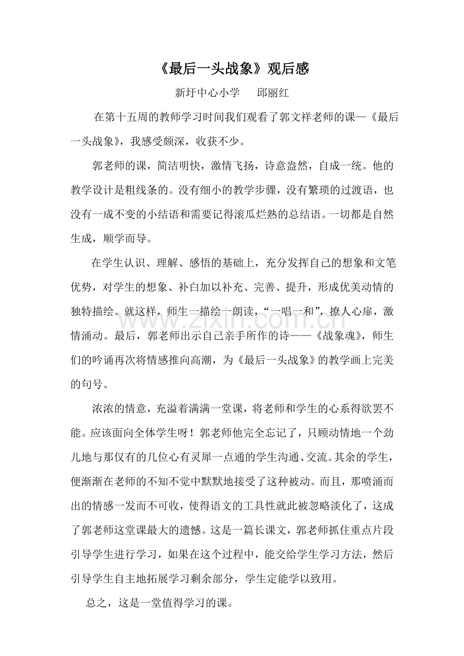 最后一头战象观后感.doc_第1页