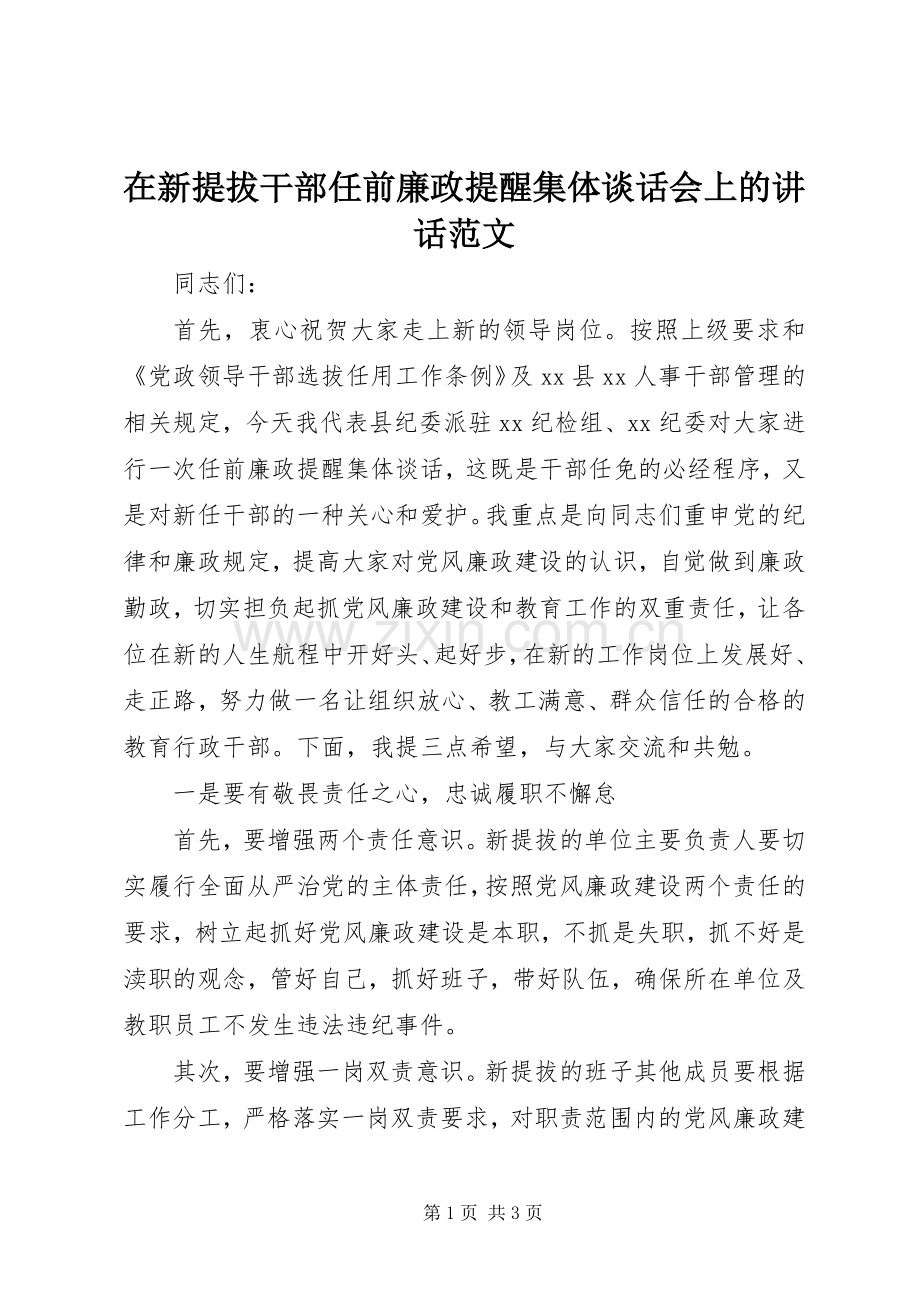 在新提拔干部任前廉政提醒集体谈话会上的讲话发言范文.docx_第1页