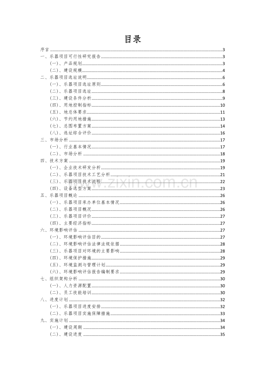 乐器项目商业计划书.docx_第2页